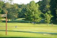 ���ꂵ���S���t�R���y�i�i�Ȃ炨�C��