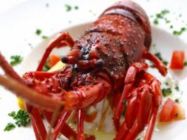 �Y�N��r���S�i�i�C���[�W