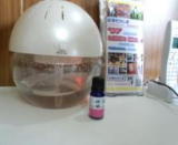 �l�C�̌i�i�i�A���}��C����@�j